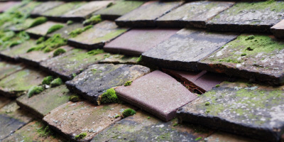 Wardy Hill roof repair costs